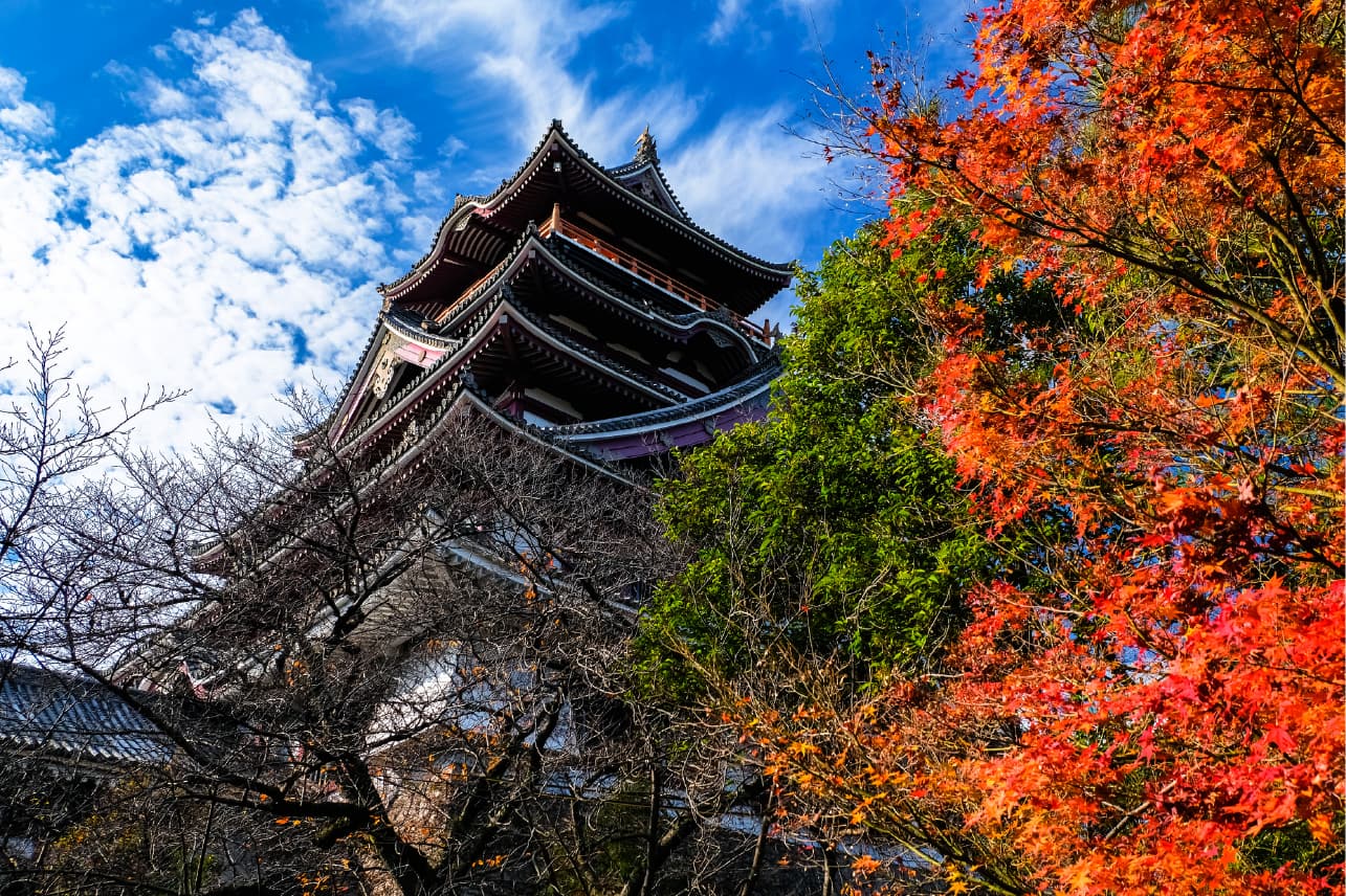 昼の桃山城