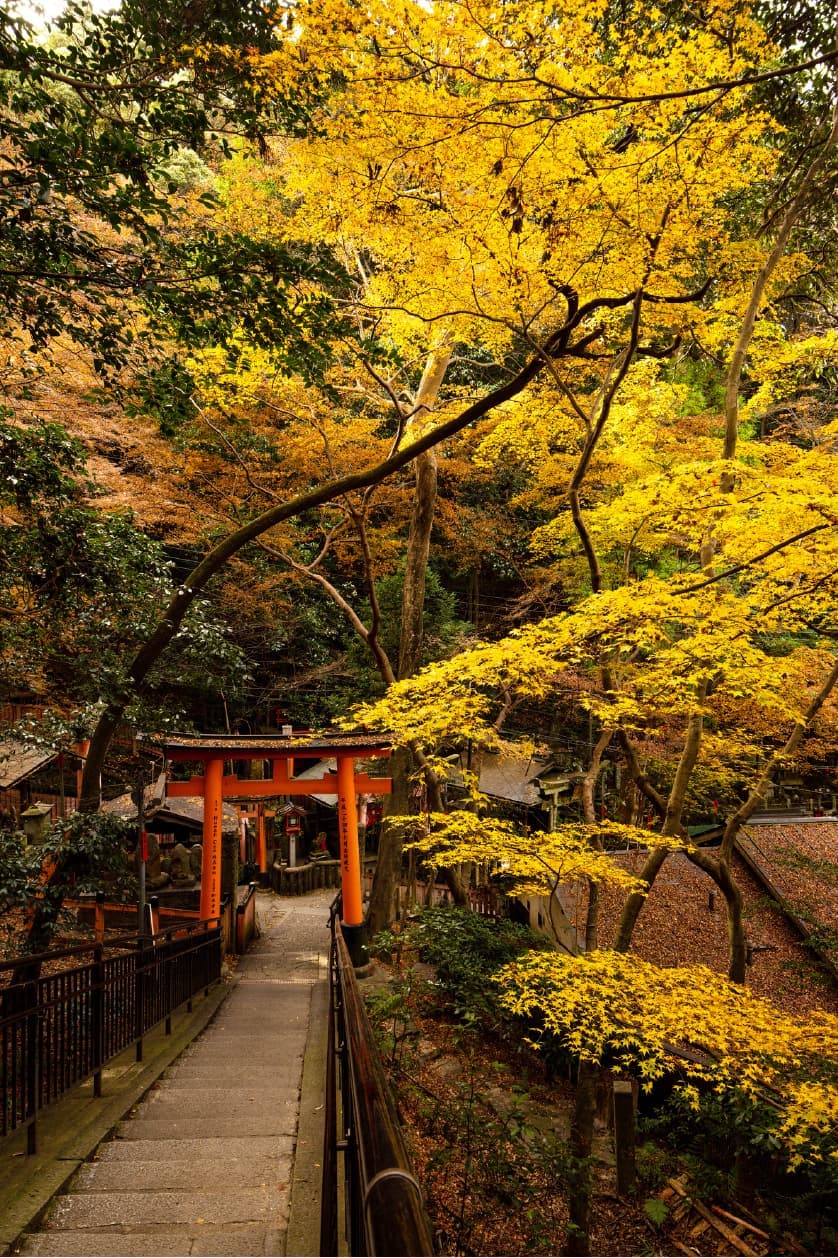 紅葉と鳥居