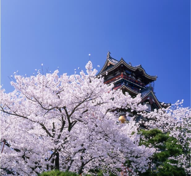 桜と桃山城