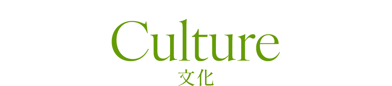 Culture 文化