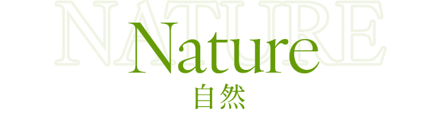 Nature 自然